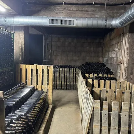 Clos Des Colombes - Vineyard & Wine Experience Фермерский дом Дуэзечи-ши-Трей Аугуст