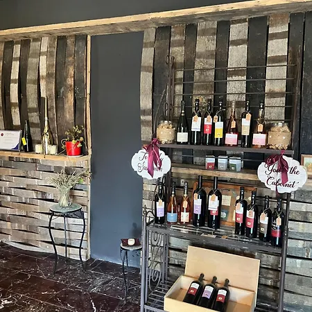Clos Des Colombes - Vineyard & Wine Experience *