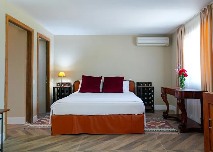 Clos Des Colombes - Vineyard & Wine Experience