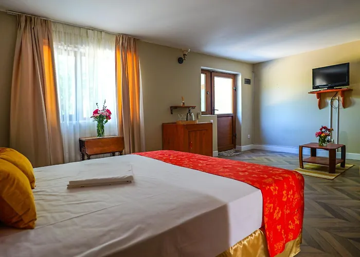 Clos Des Colombes - Vineyard & Wine Experience Douăzeci şi Trei August